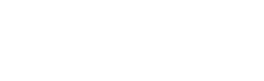 ArteVita A.P.S.
